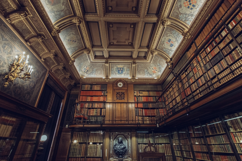 bibliotheque-FIGANIERES-min_library-863148